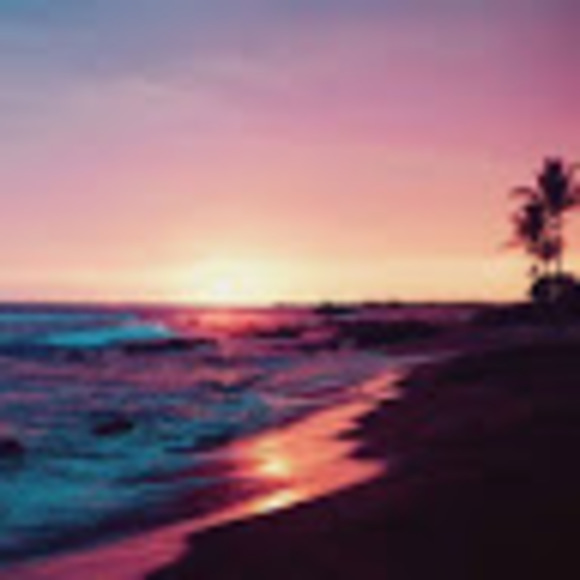 Meet your Posher, Ava - Picture 1 of 1